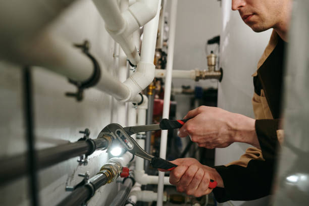 Best Hot Water Heater Installation  in Sesser, IL