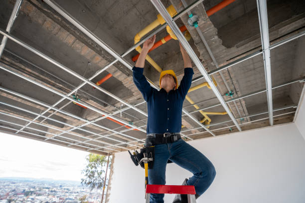 Best 24-Hour Plumber Near Me  in Sesser, IL