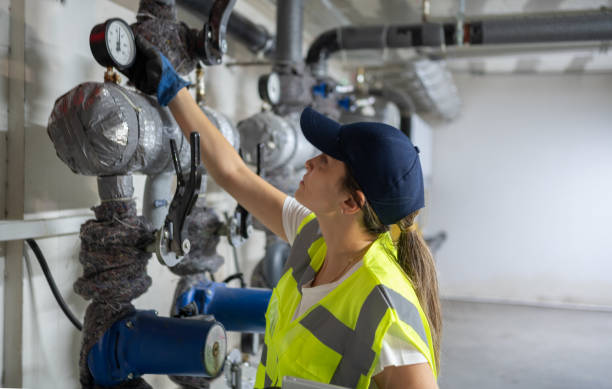 Best Clogged Drain Plumber  in Sesser, IL
