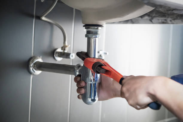 Best Clogged Drain Plumber  in Sesser, IL