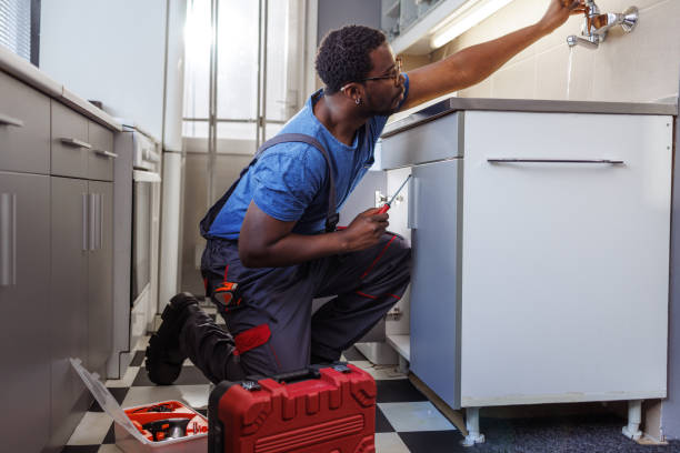 Best Commercial Plumbing Services  in Sesser, IL