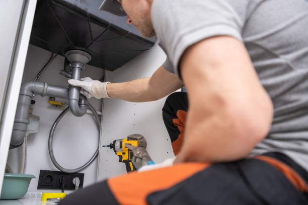 Best Sprinkler Systems  in Sesser, IL