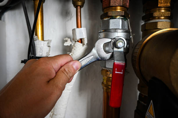 Best Water Softener Installation  in Sesser, IL